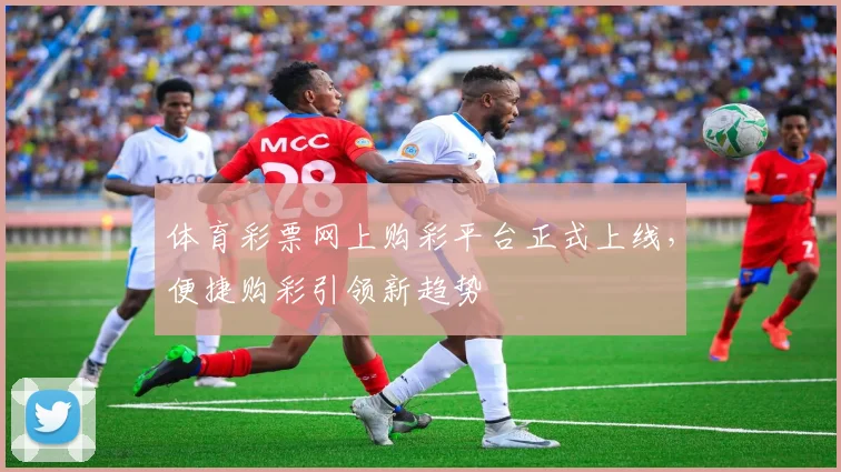 体育彩票网上购彩平台正式上线，便捷购彩引领新趋势