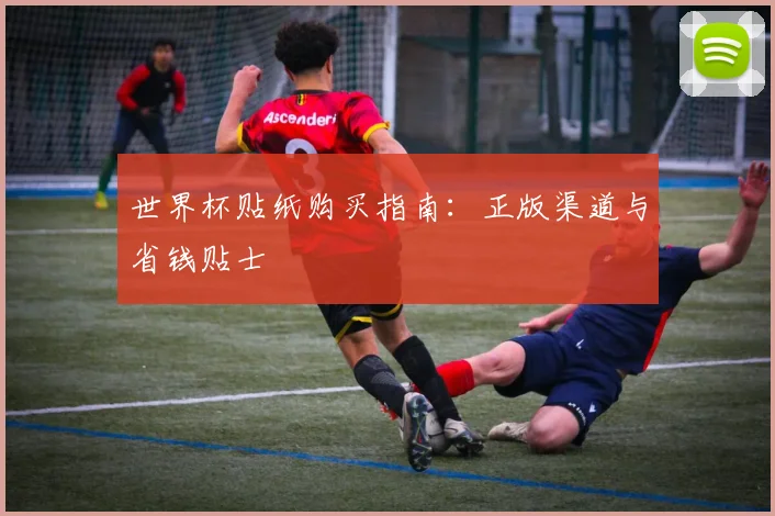 世界杯贴纸购买指南：正版渠道与省钱贴士
